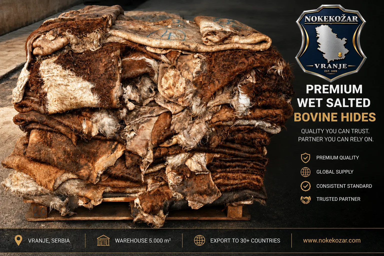 Premium wet-salted bovine hides prepared for export