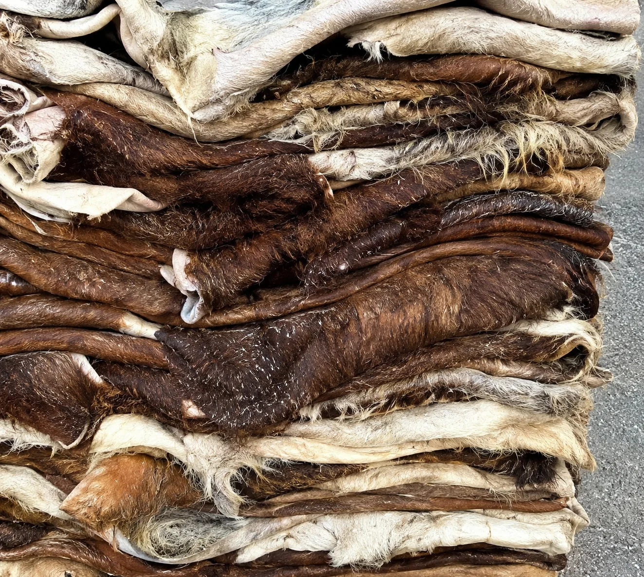 Salted calf skins — photo 3