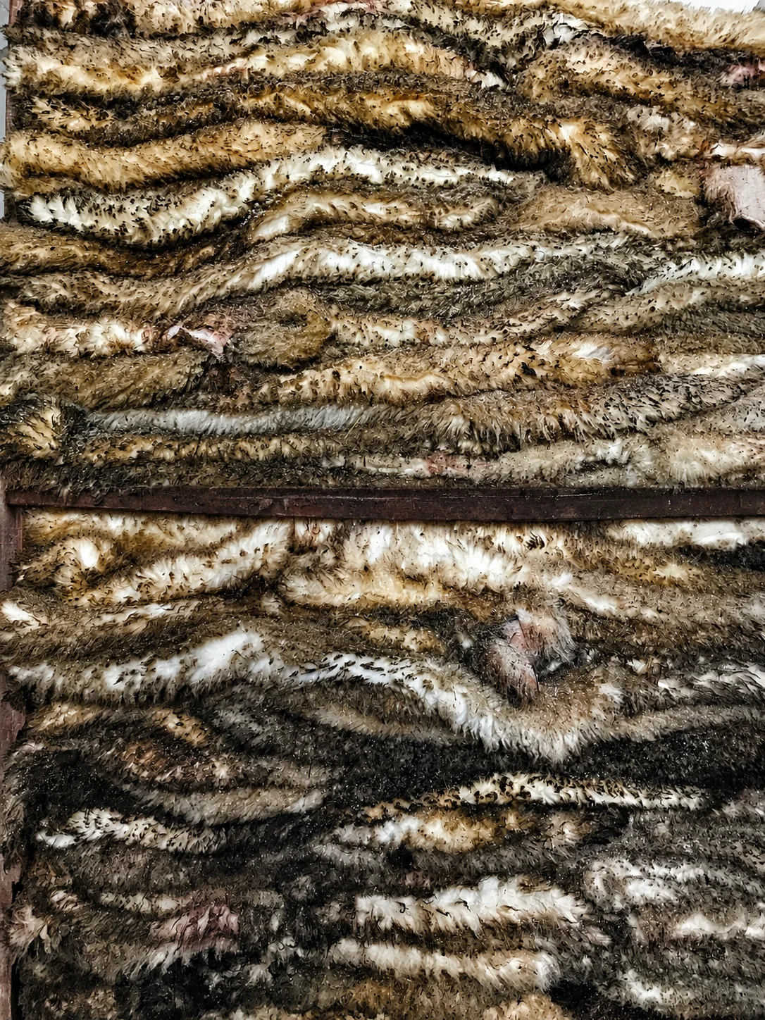 Salted lamb skins — photo 2
