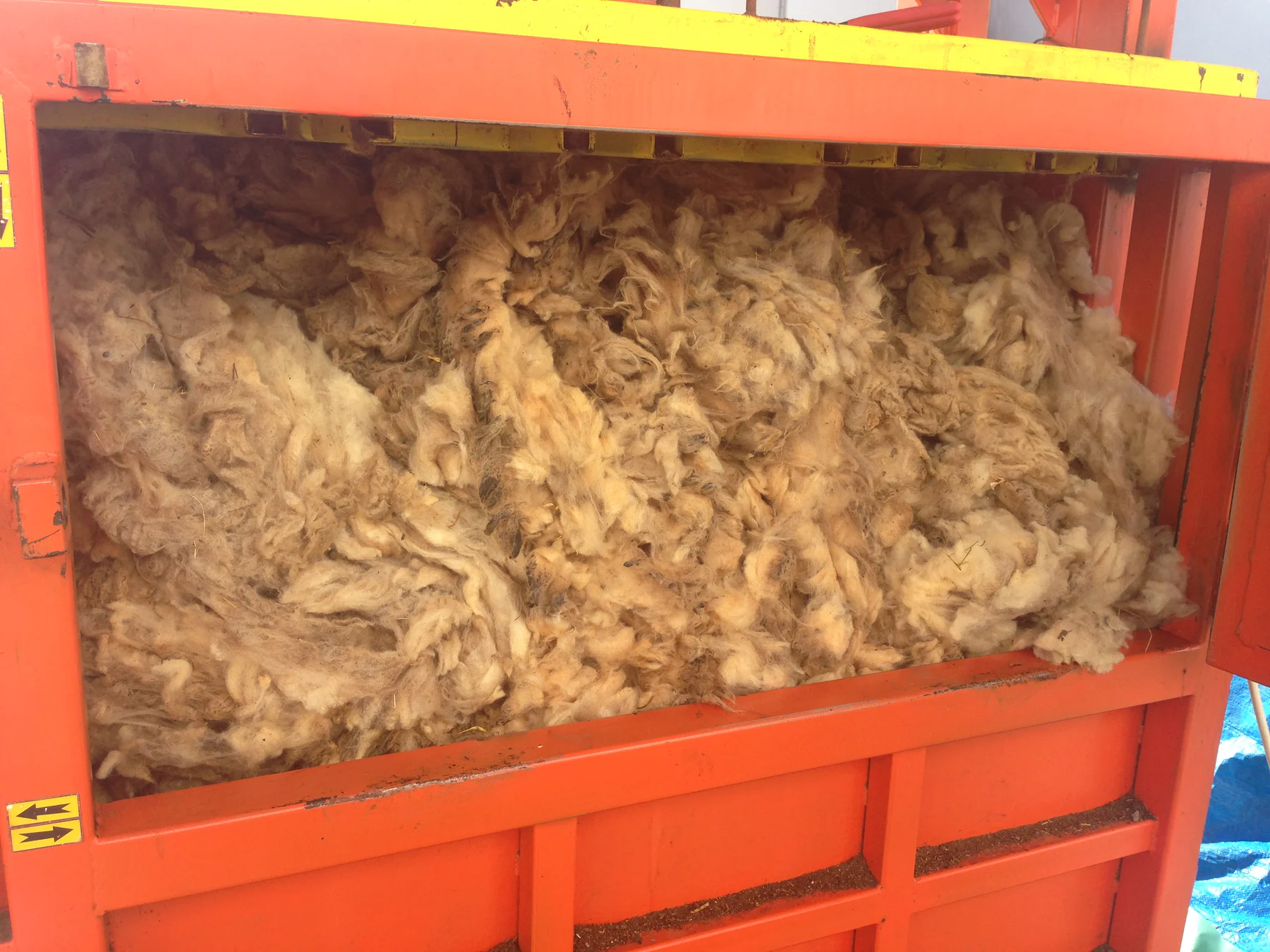 Wool