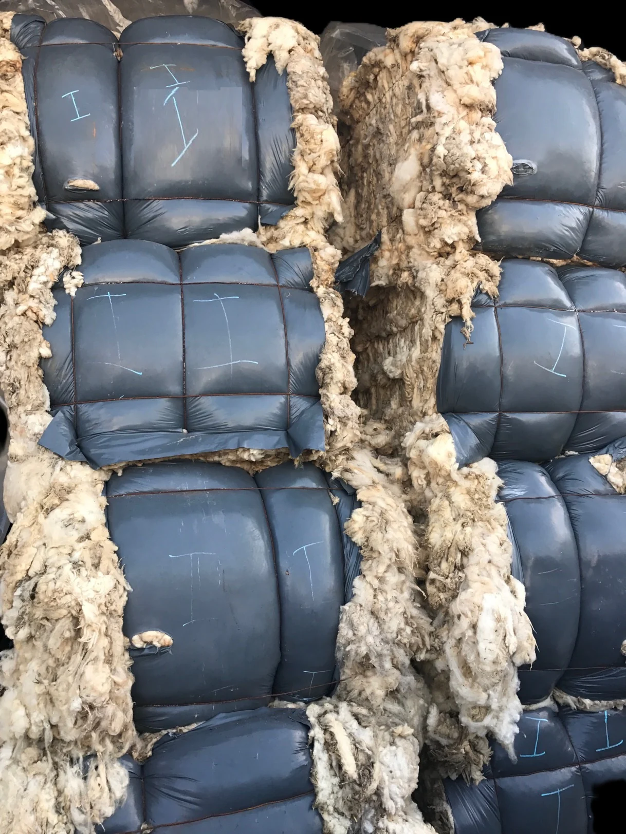 Packed wool bales