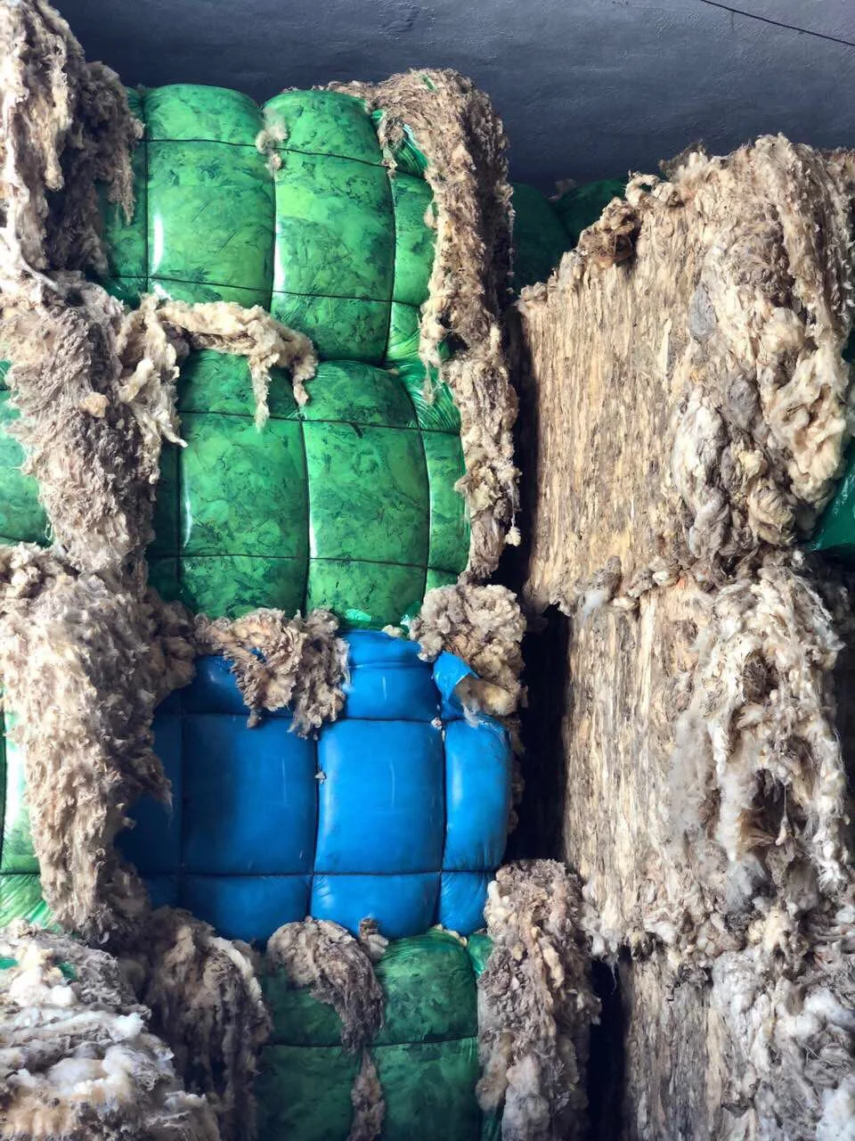Compressed wool bales prepared for transport